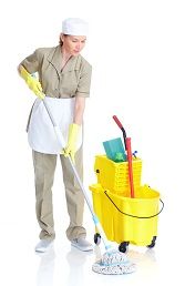 cleaning service se20