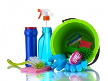 Cleaning After Your Pets